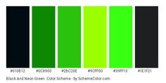 the color chart for black and green is shown in this graphic style, which includes different shades