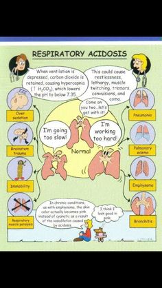 an illustrated poster with the words, respiratory acidologists