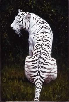 a painting of a white tiger sitting on its back in the grass with trees behind it