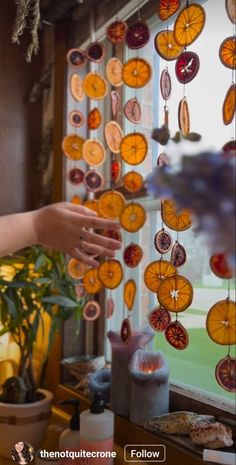 a person reaching out to touch a window with oranges hanging from it