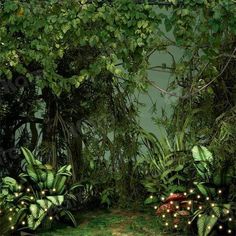 a lush green forest filled with lots of plants and trees covered in fairy string lights