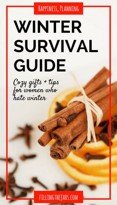 cinnamon sticks and cloves with the words winter survival guide on top of it