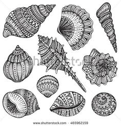 an ink drawing of seashells