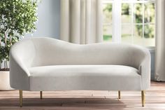 a white couch sitting on top of a wooden floor next to a potted plant