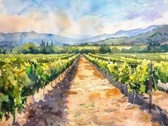 a watercolor painting of a dirt road in the middle of a vineyard with mountains in the background