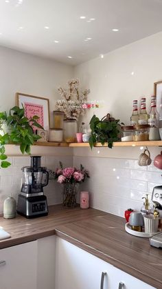 the kitchen counter is cluttered with pots and pans, plants, and other items