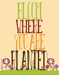 a poster with the words bloom where you are planted