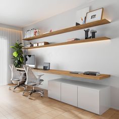 an office area with two desks, shelves and a plant on the wall above it