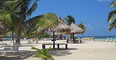 the beach is lined with palm trees and lawn chairs