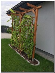 an outdoor garden area with green plants and a pergolated trellis on the grass