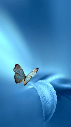 a butterfly that is flying in the air over some blue water with waves around it