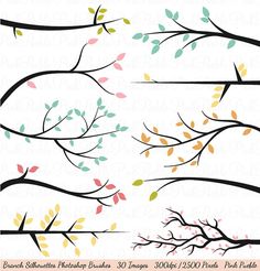 tree branches with green leaves on white background