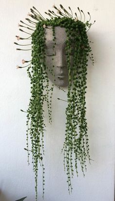 a head is covered with green plants on the wall