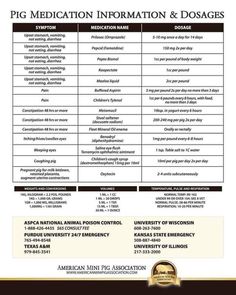 an information sheet for the american medical association's ppg medication information and dosages