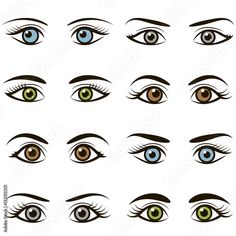 various types of eyes with different shapes and colors on the iris, front and side view