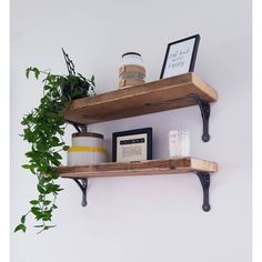 two wooden shelves with some plants on them