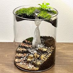 a glass vase filled with plants and rocks