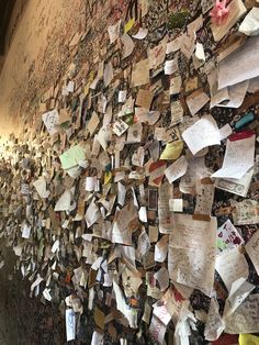 many pieces of paper are pinned to the wall