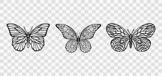 three butterflies that are black and white on a transparent background, with one butterfly flying in the