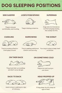 the dog sleeping positions chart with instructions on how to use them for their bedtime routine