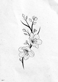 a black and white drawing of flowers on paper