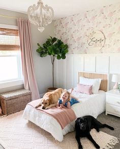 Quinn Bed curated on LTK Toddler Room Decor, Kids Bedroom Inspiration, Toddler Bedroom, Old Room, Bedroom Bedding