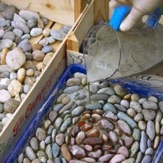 a person pouring water into a container filled with rocks