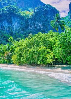 the beach is surrounded by lush green trees and mountains on either side of the water