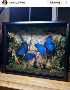 two blue butterflies sitting on top of a wooden table next to an old book page