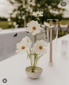 white flowers are in a vase on a table