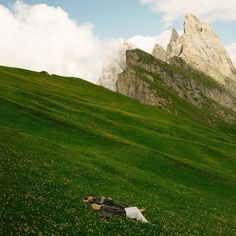 there is a bag that is laying in the grass on the side of a hill