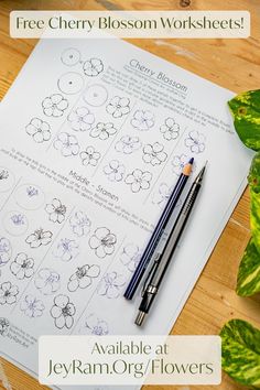 the free cherry blossom worksheets are available at jekyram org / flowers