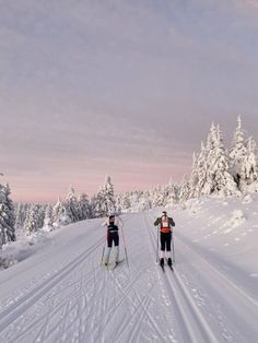 two people cross country skiing on a snowy trail