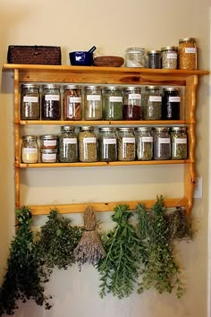 the shelves are filled with spices and herbs