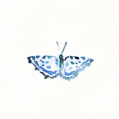 a watercolor painting of a blue butterfly