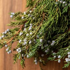 the branches of a pine tree are covered with tiny white and gray berries on a wooden surface