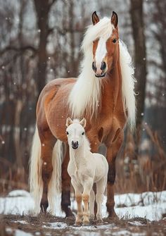 a horse and its foal standing in the snow near some trees on a snowy day