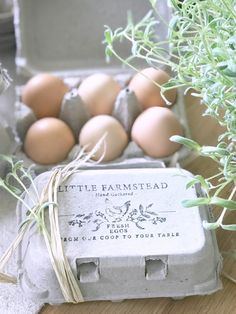 an egg carton filled with eggs next to a potted plant on a table