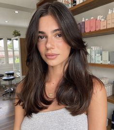 Brunette Hair Cuts, Brown Hair Looks, Brown Hair Inspo, Layered Haircuts For Medium Hair, Bangs With Medium Hair, Hairstyles For Layered Hair, Long Dark Hair, Haircuts For Medium Hair, Haircuts Straight Hair