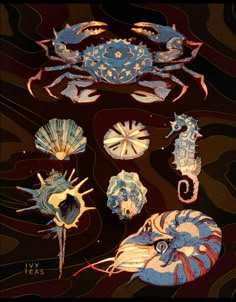 various sea animals and shells on a black background