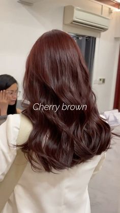 Rustic Brown Hair Color, Hair Color For Chinese Women, Red Brown Shag Hair, Hair Color That Makes Your Skin Lighter, Popular Korean Hair Color, Cool Tone Red Brown Hair, Medium Brown Red Hair Color, Subtle Cherry Red Hair, Dark Brown Hair With Auburn Undertones