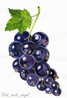 a painting of grapes with green leaves on the top, and blue berries below it