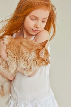 ... Roux Auburn, Blonde Cat, Natural Redhead, Beautiful Red Hair, Ginger Cat, Ginger Girls, Orange Cats, Moustaches, Red Cat