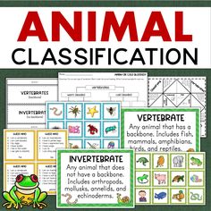 an animal class project with pictures and text