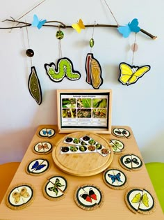 a wooden table topped with lots of buttons and magnets next to a tree branch