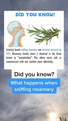 What You Didn't Know About Sniffing Rosemary? in 2022 | Health knowledge, Herbs for health, Health facts Food Health Benefits, Natural Healing Remedies, Health And Fitness Articles, Good Health Tips