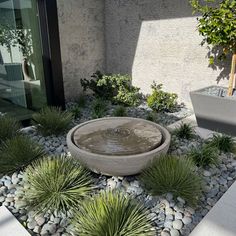 an outdoor fountain surrounded by rocks and plants