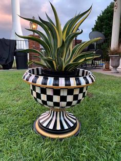 a potted plant sitting on top of a lush green field