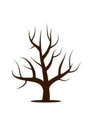 a tree with no leaves is shown in brown on a white background, and the branches are bare