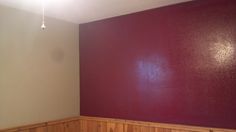 empty room with wood paneling and red wall